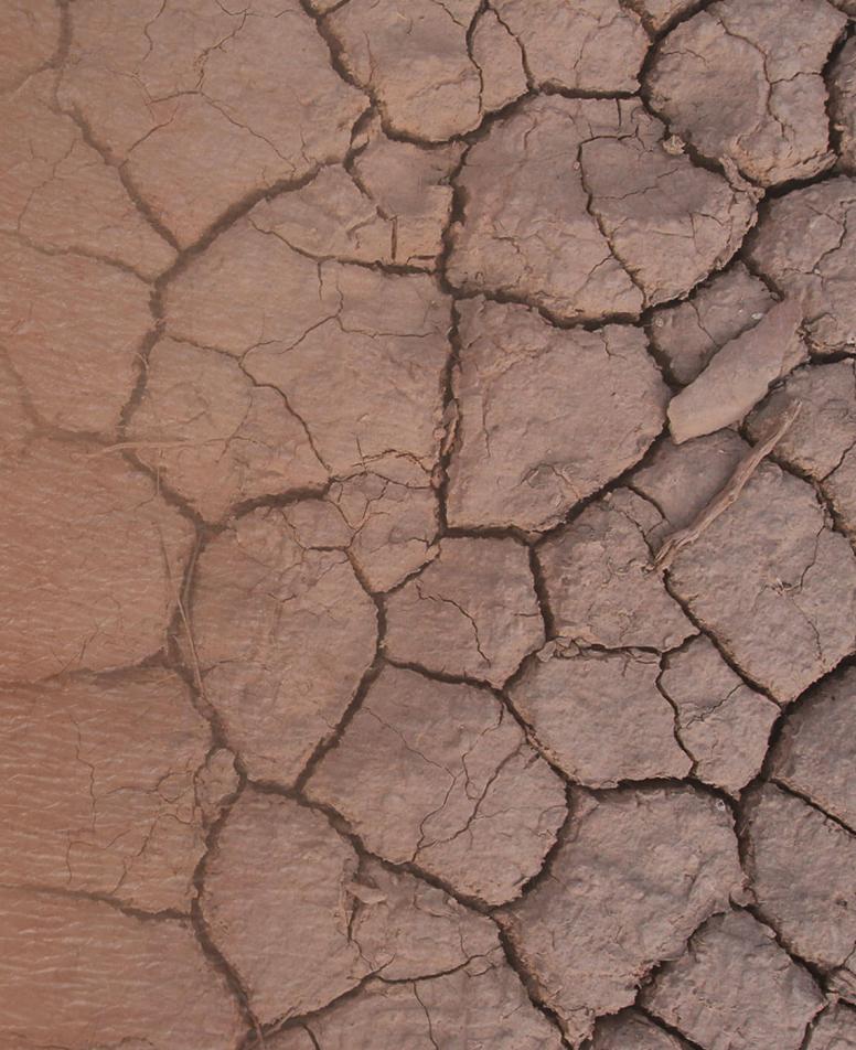 Εικόνα ξηρού χώματος με ρωγμές, που μοιάζει με την εικόνα του αφυδατωμένου δέρματος. 